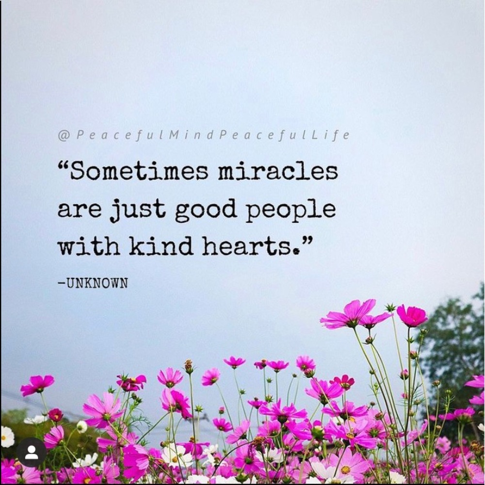 Meet your Posher, Marion